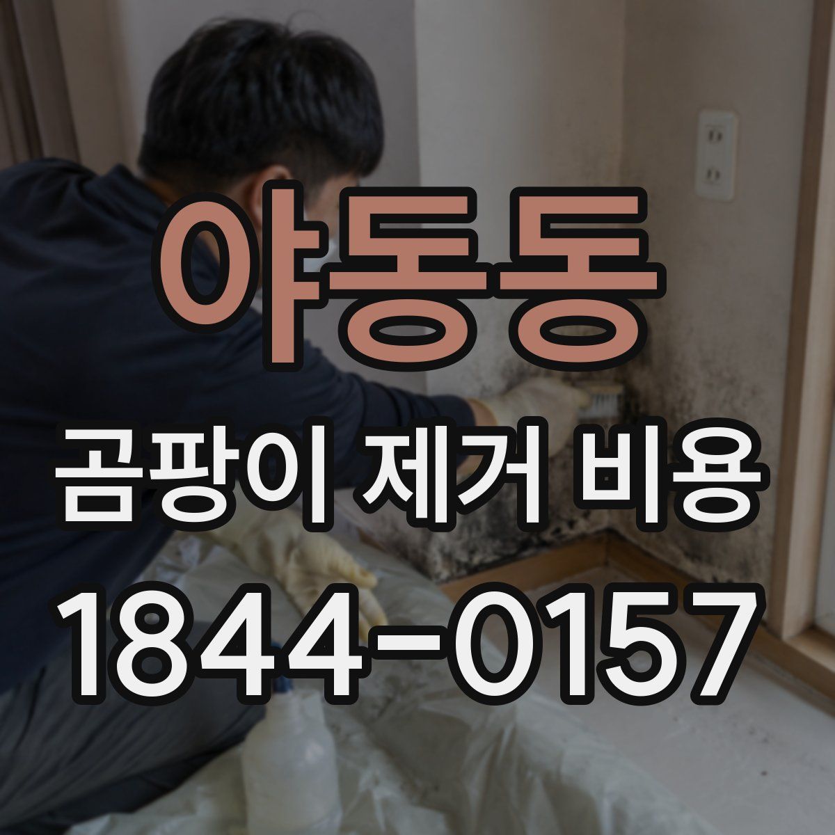 야동동 곰팡이 제거 비용