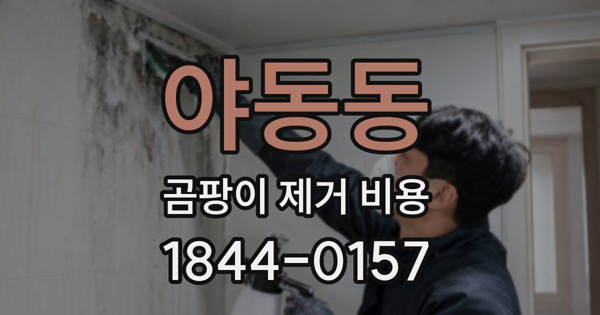 야동동 곰팡이 제거 비용