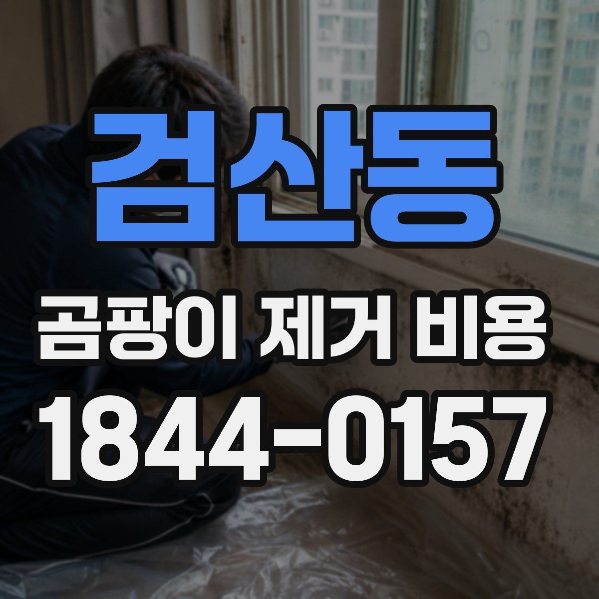 검산동 곰팡이 제거 비용 단순 청소와 전문 제거의 차이