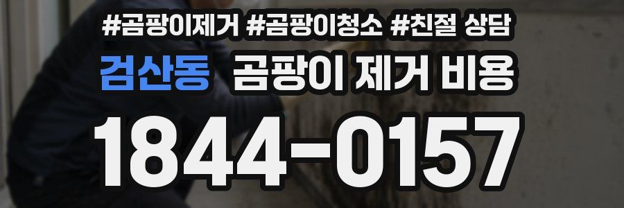 검산동 곰팡이 제거 비용