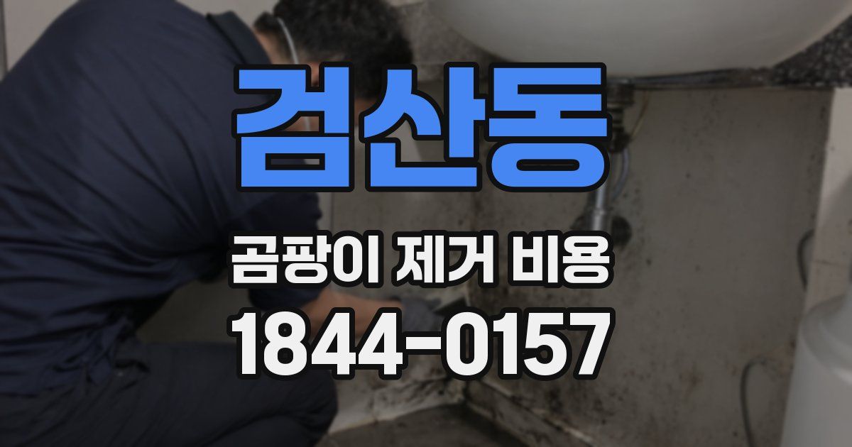 검산동 곰팡이 제거 비용