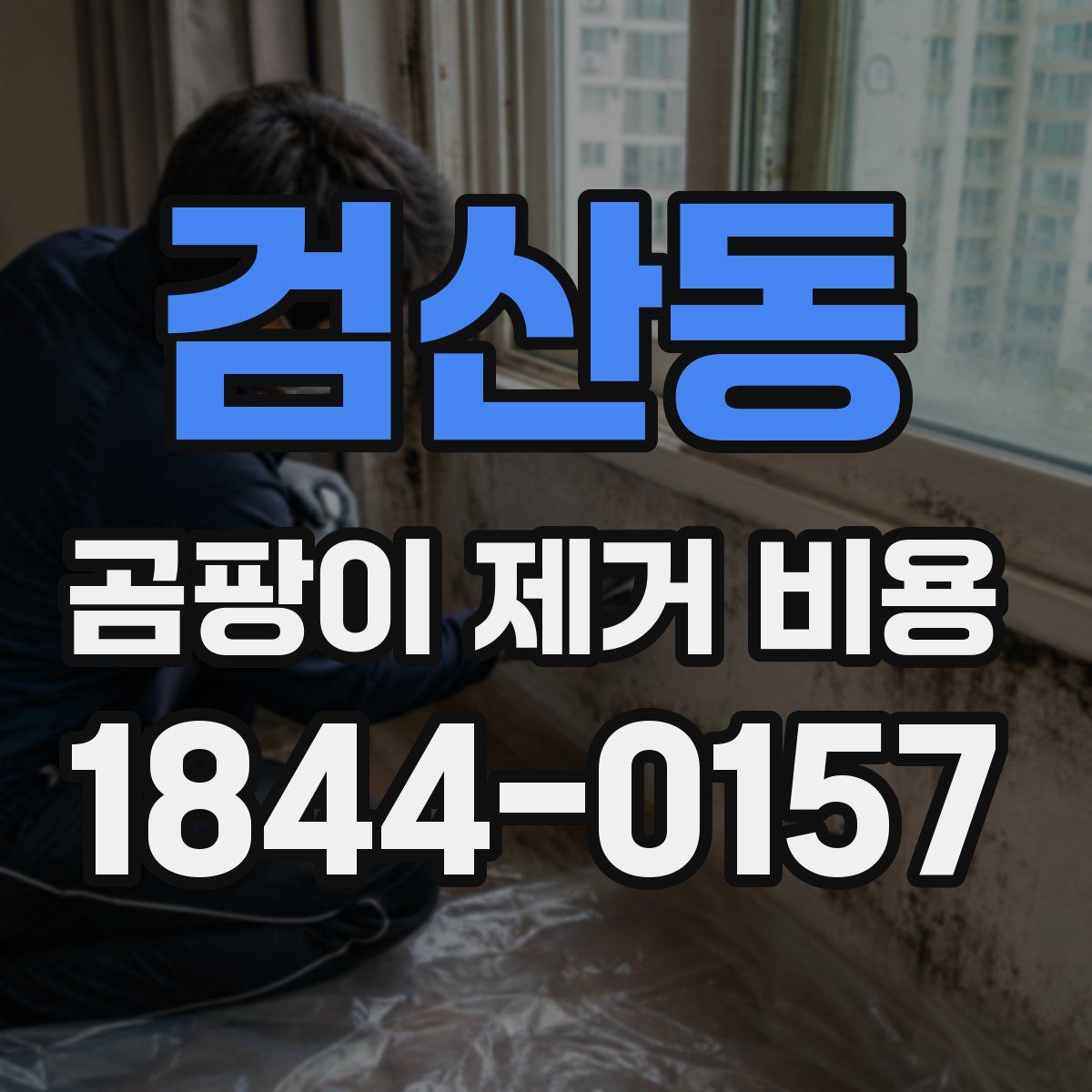 검산동 곰팡이 제거 비용