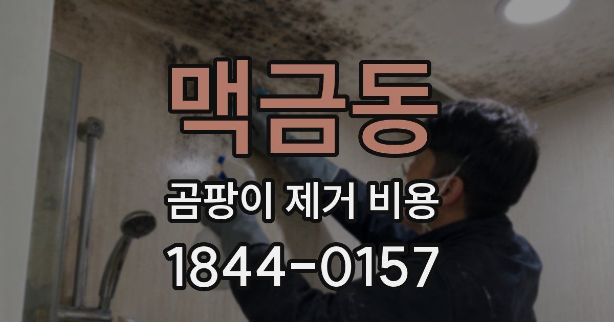 맥금동 곰팡이 제거 비용