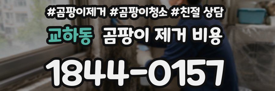 교하동 곰팡이 제거 비용