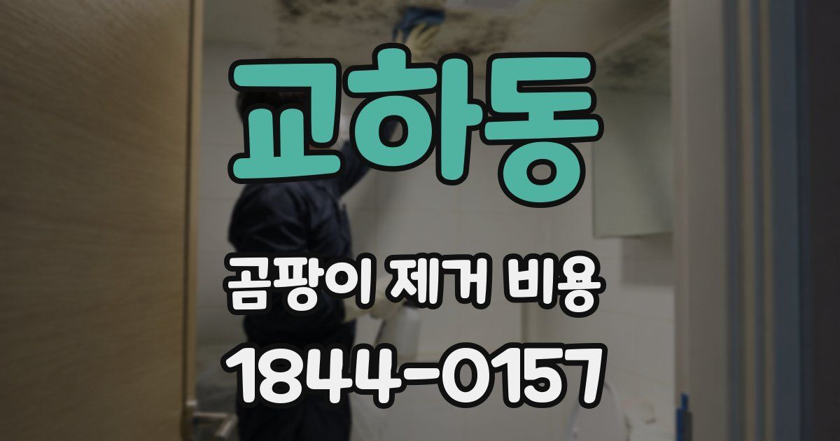 교하동 곰팡이 제거 비용