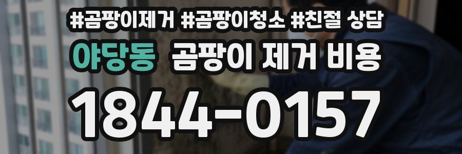 야당동 곰팡이 제거 비용