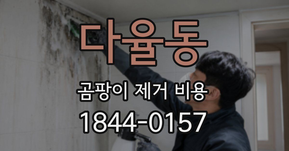 다율동 곰팡이 제거 비용