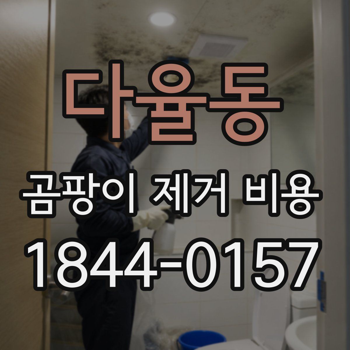 다율동 곰팡이 제거 비용