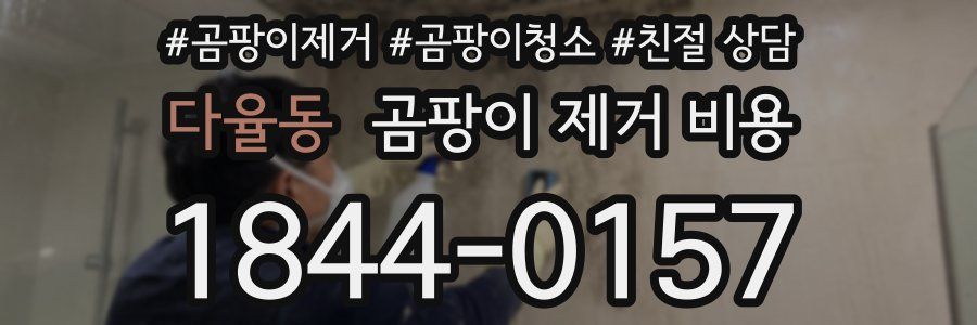 다율동 곰팡이 제거 비용