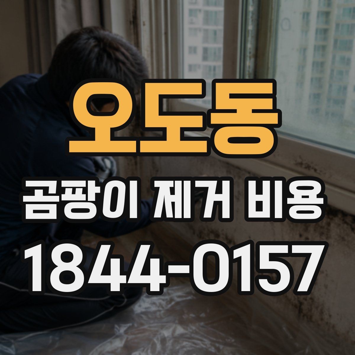 오도동 곰팡이 제거 비용 문의 전 체크해야 할 하자 여부