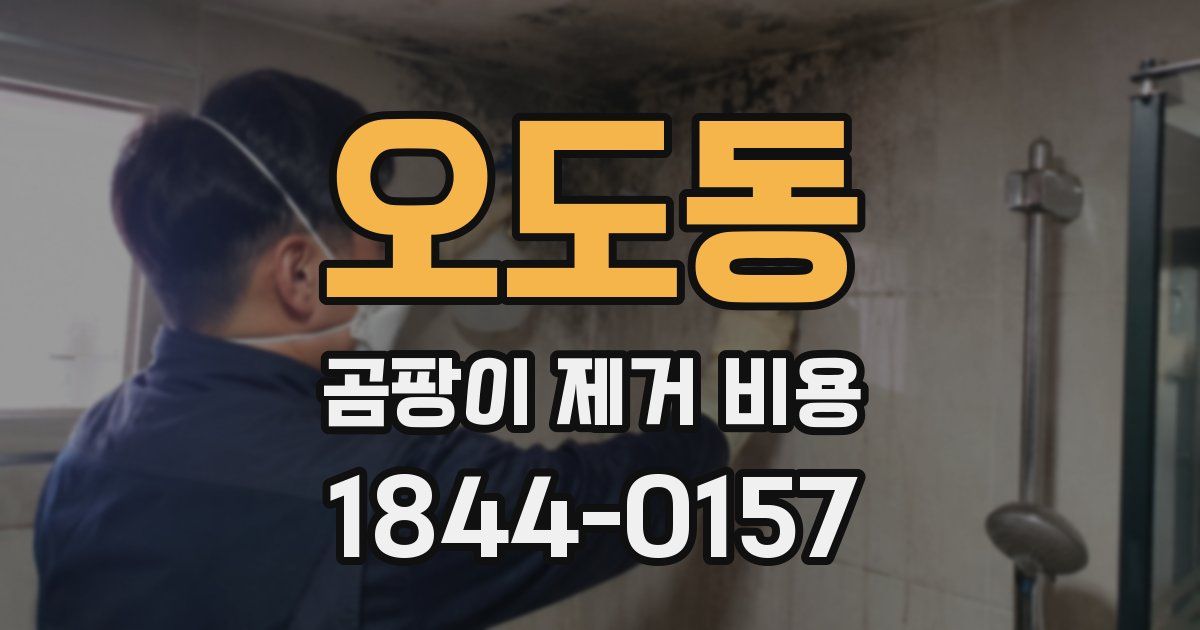 오도동 곰팡이 제거 비용