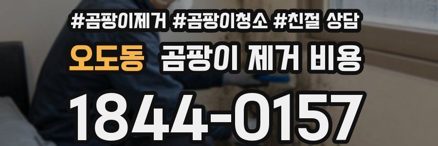 오도동 곰팡이 제거 비용