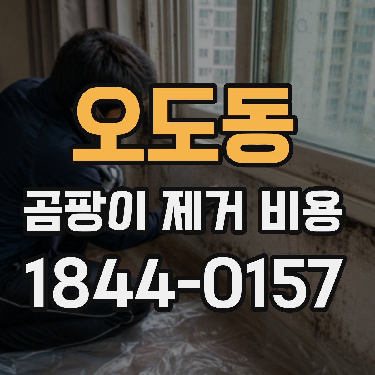 오도동 곰팡이 제거 비용