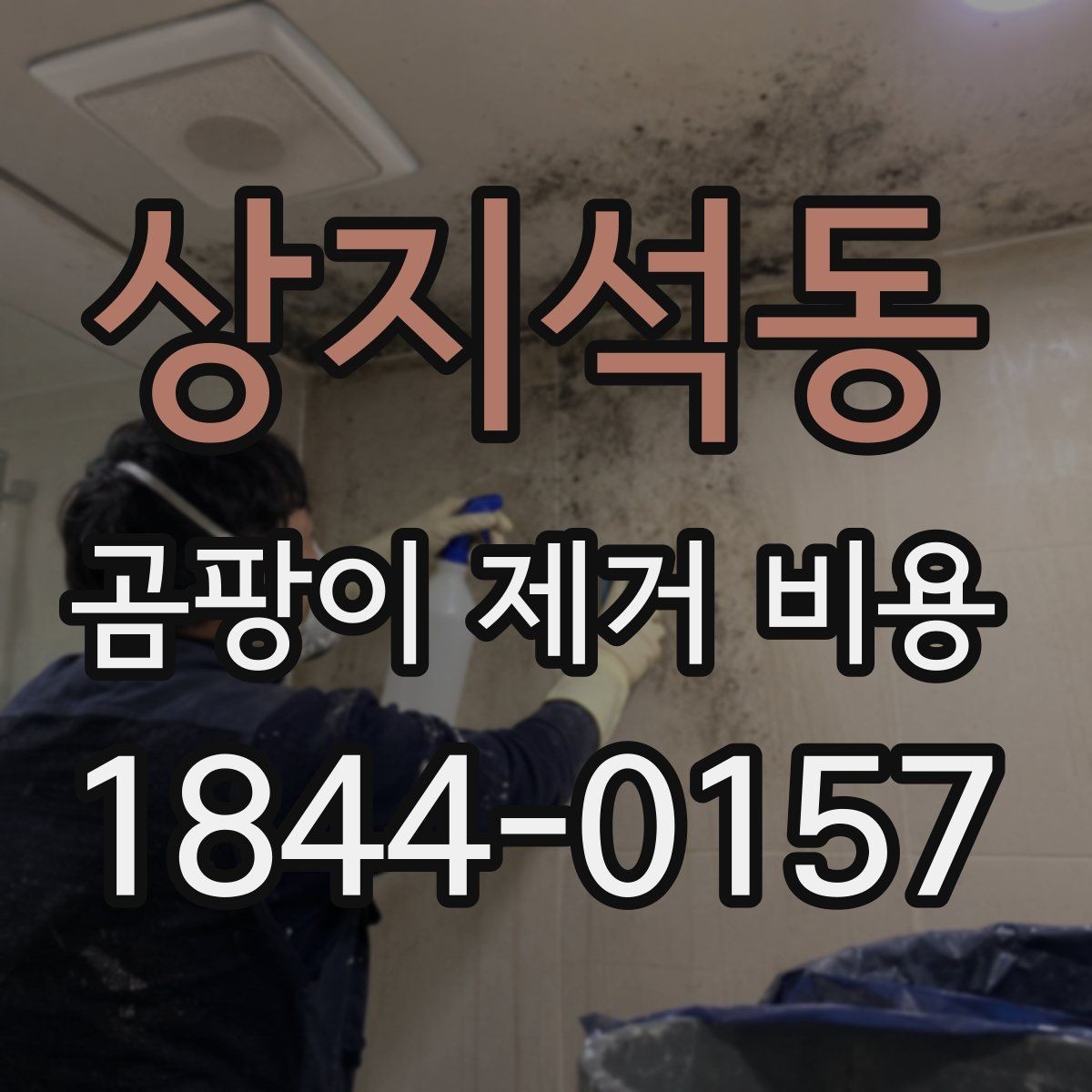 상지석동 곰팡이 제거 비용 예상보다 달라지는 이유