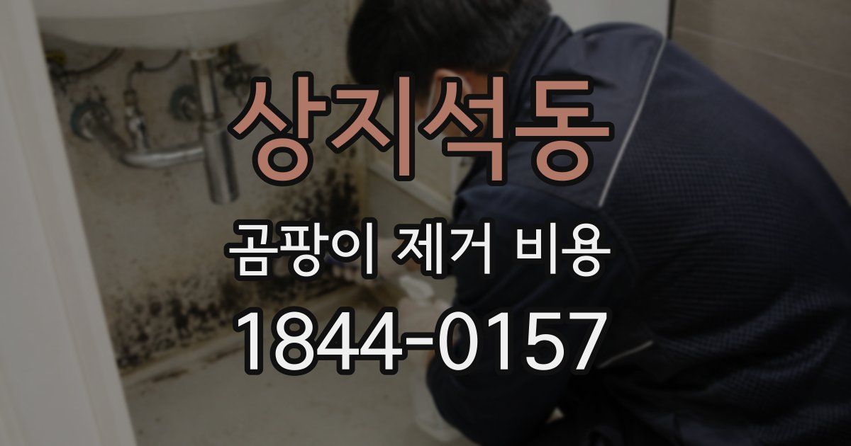 상지석동 곰팡이 제거 비용
