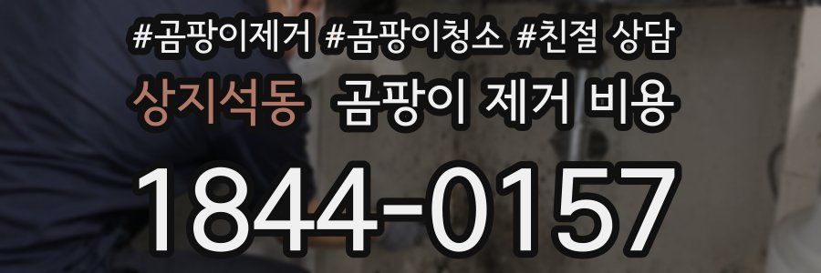 상지석동 곰팡이 제거 비용
