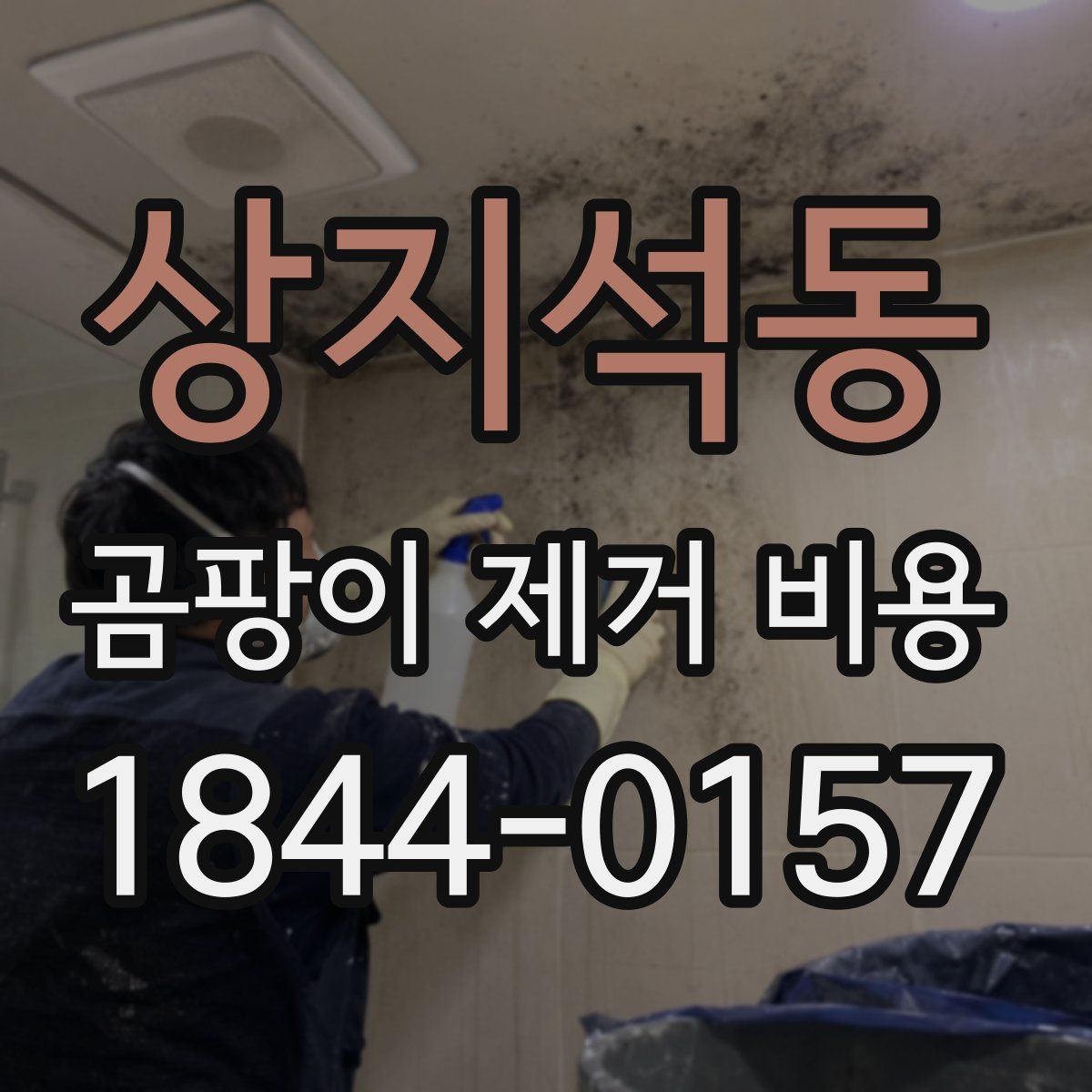 상지석동 곰팡이 제거 비용