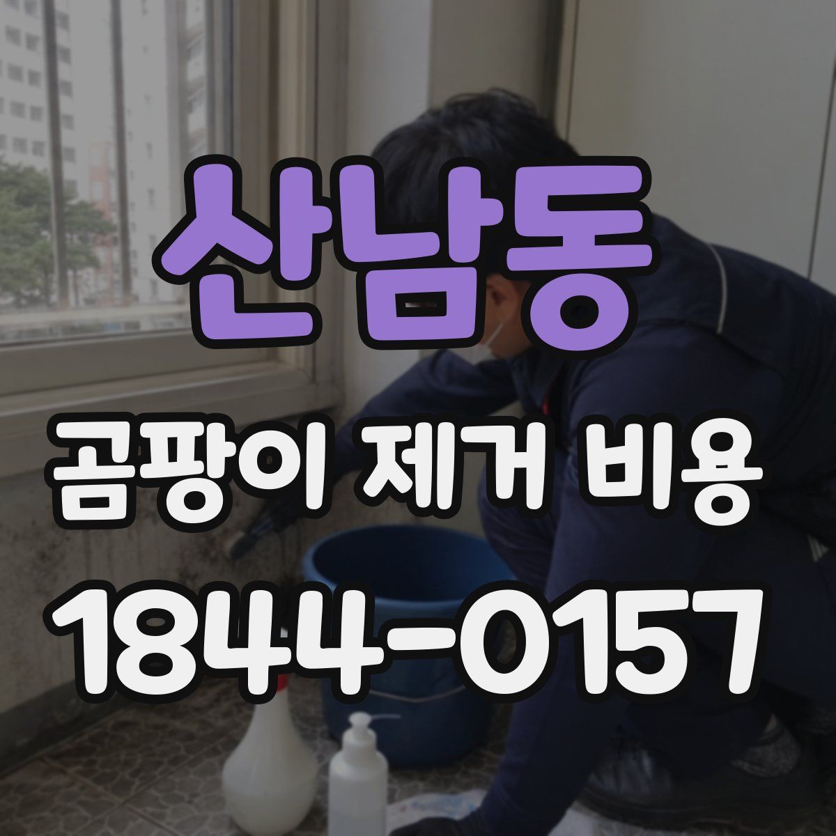 산남동 곰팡이 제거 비용