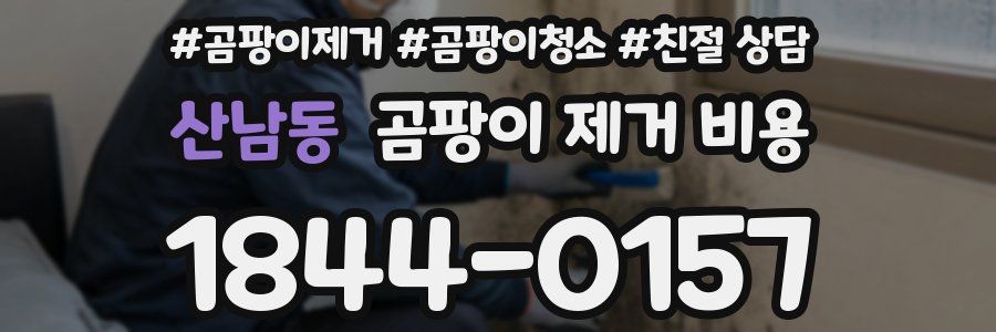 산남동 곰팡이 제거 비용