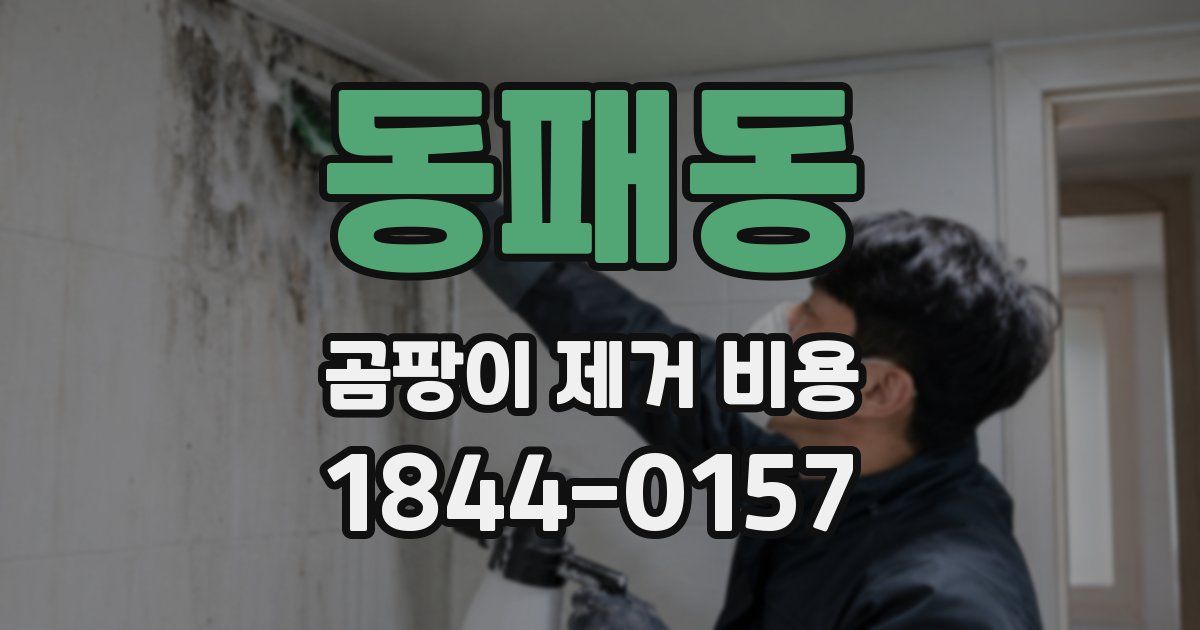 동패동 곰팡이 제거 비용