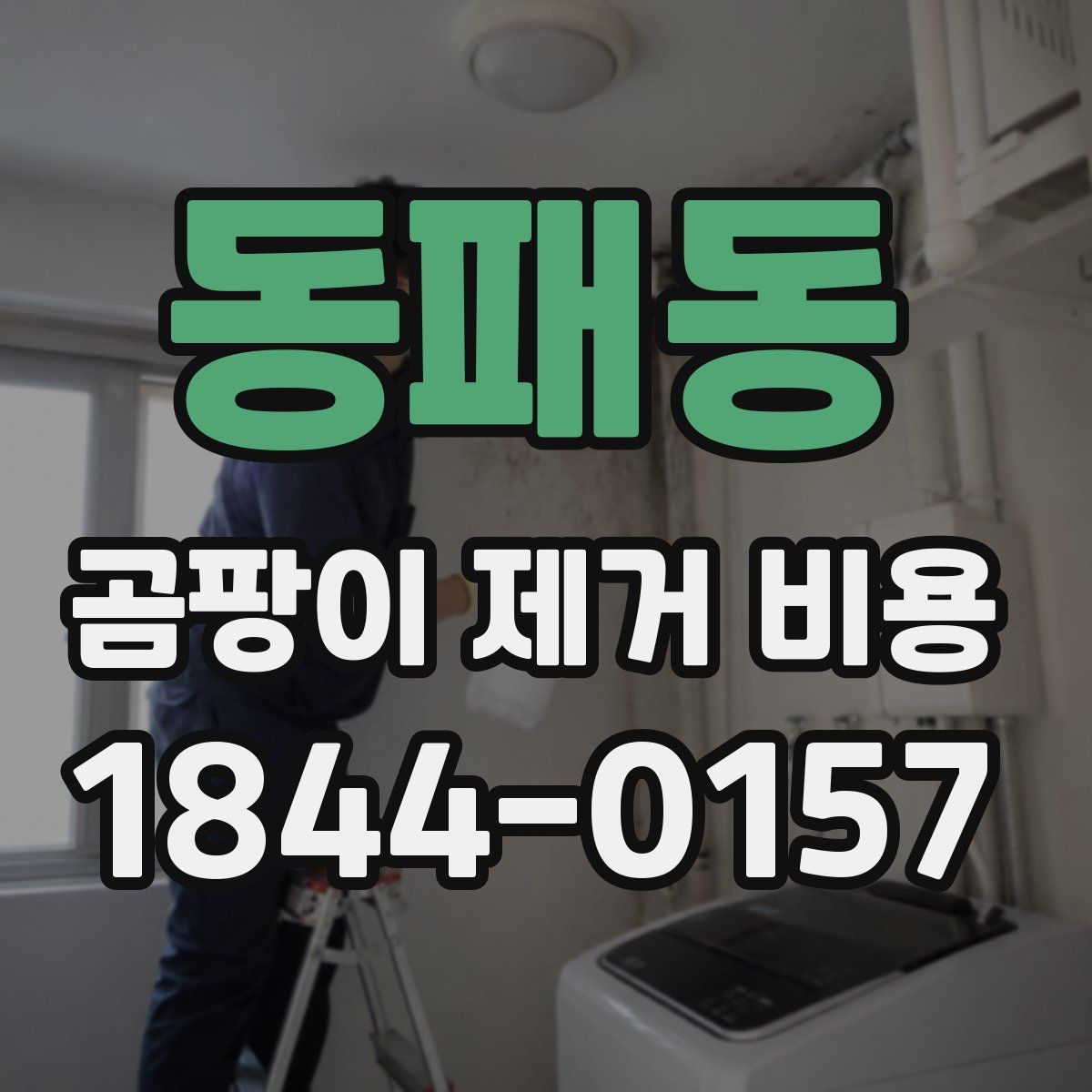 동패동 곰팡이 제거 비용
