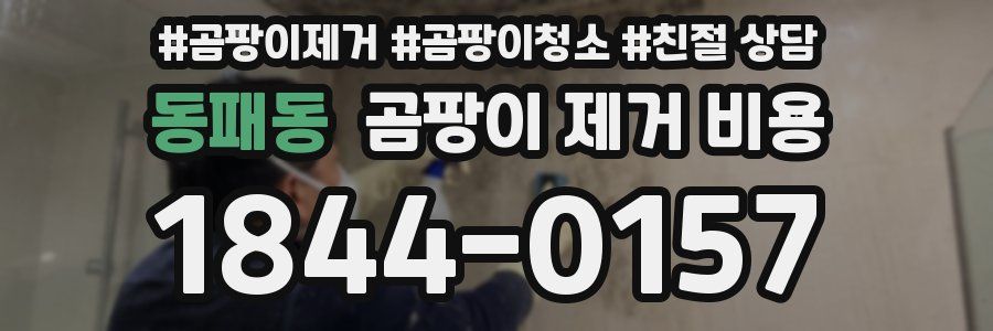 동패동 곰팡이 제거 비용