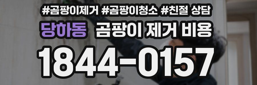 당하동 곰팡이 제거 비용