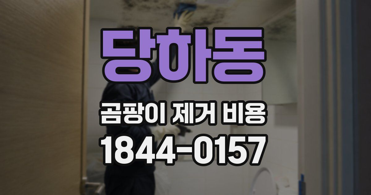 당하동 곰팡이 제거 비용