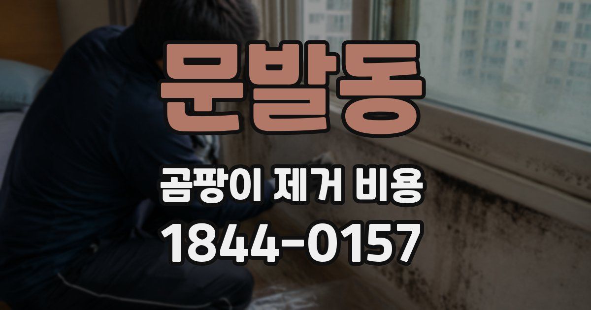문발동 곰팡이 제거 비용