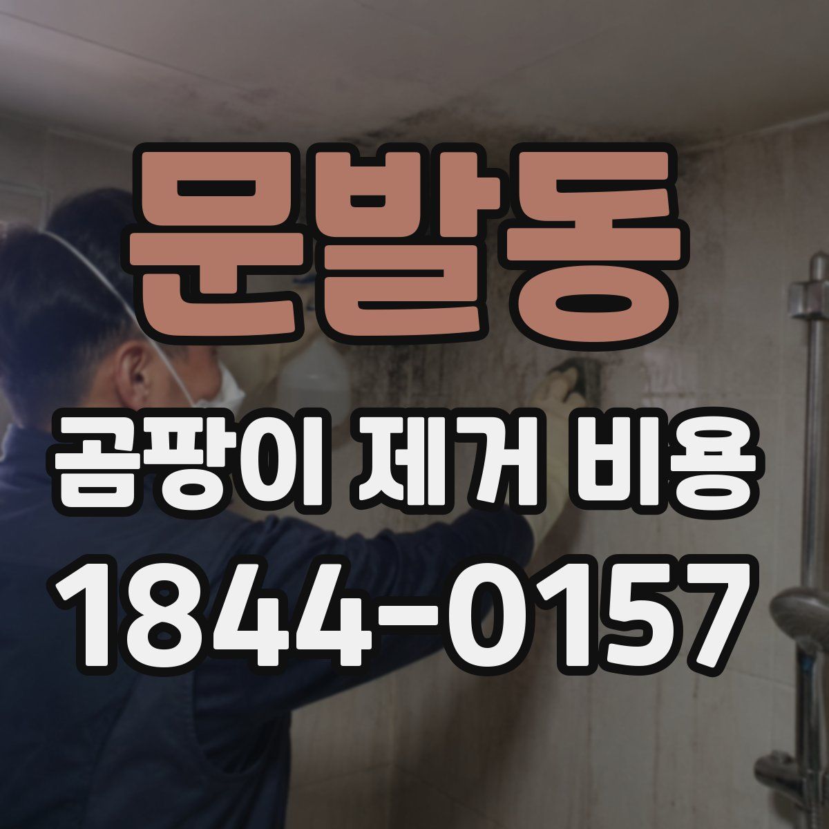 문발동 곰팡이 제거 비용