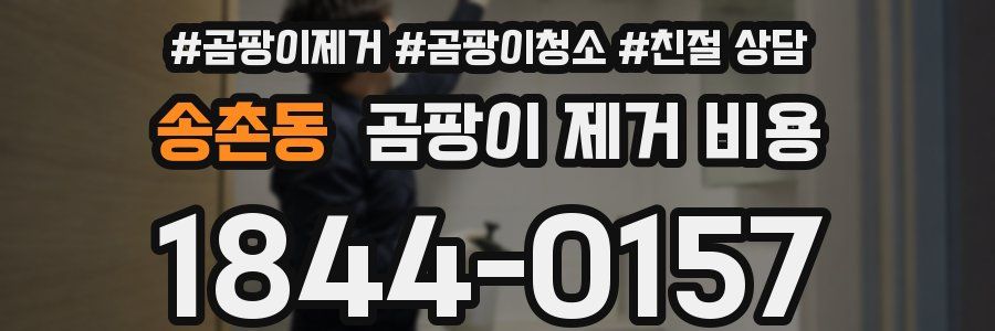 송촌동 곰팡이 제거 비용