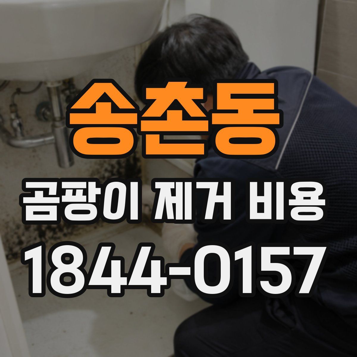 송촌동 곰팡이 제거 비용