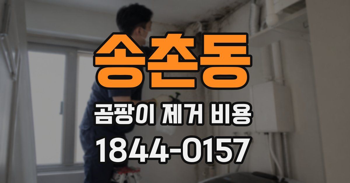 송촌동 곰팡이 제거 비용