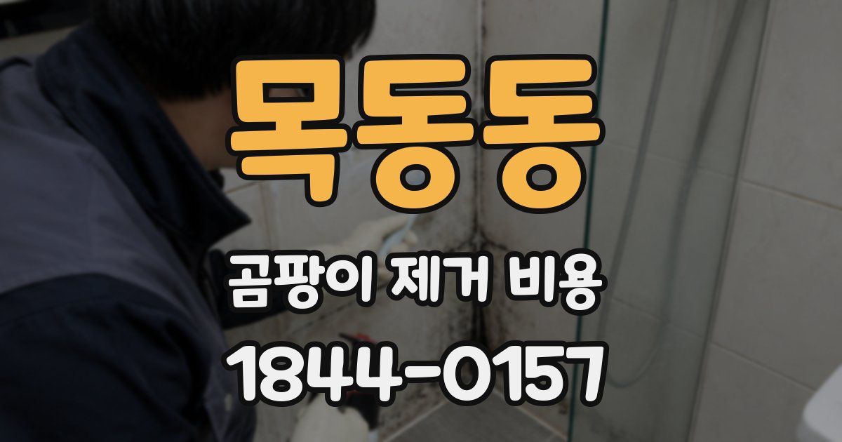 목동동 곰팡이 제거 비용