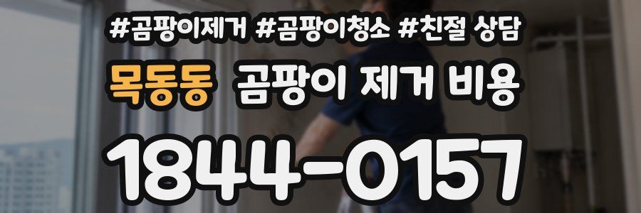 목동동 곰팡이 제거 비용