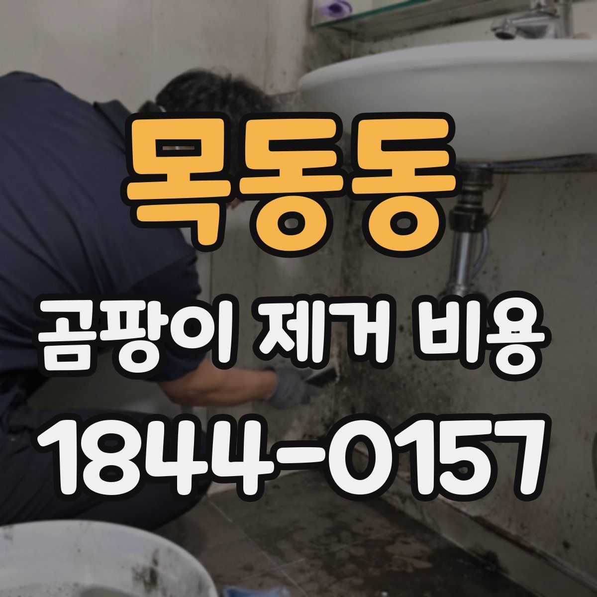 목동동 곰팡이 제거 비용