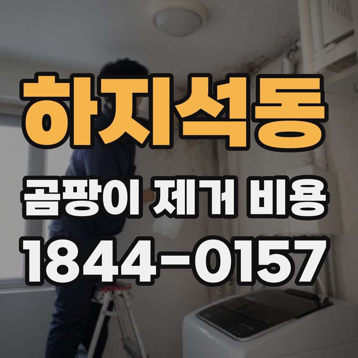 하지석동 곰팡이 제거 비용
