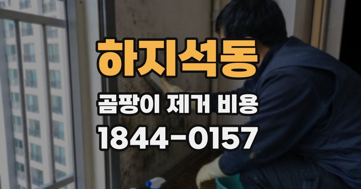 하지석동 곰팡이 제거 비용