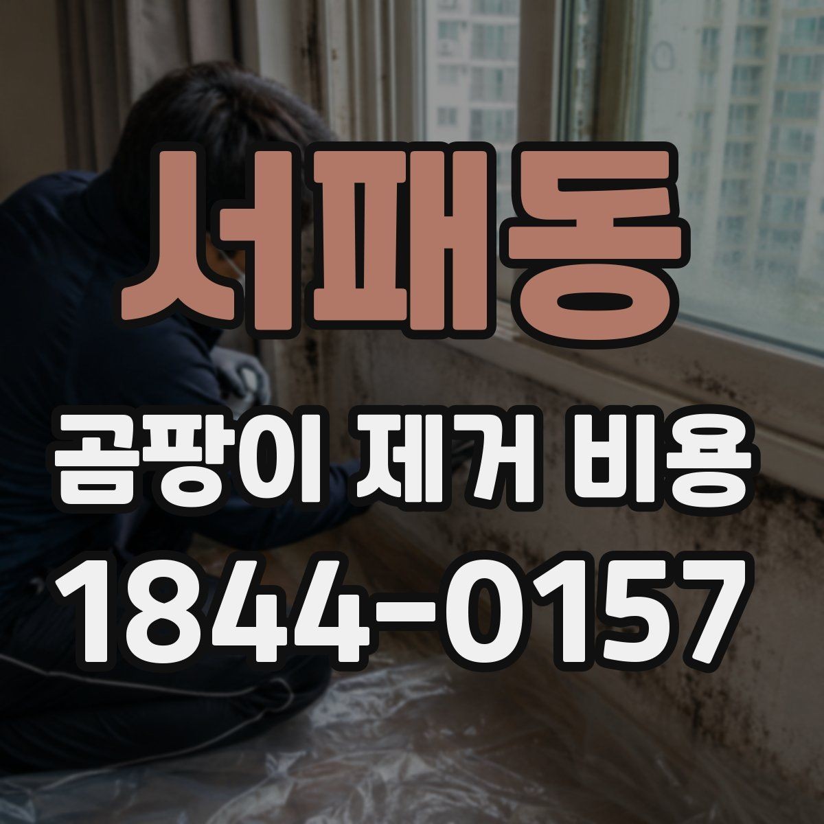 서패동 곰팡이 제거 비용 산출 시 주의해야 할 오해