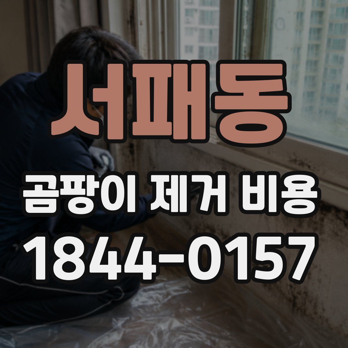 서패동 곰팡이 제거 비용