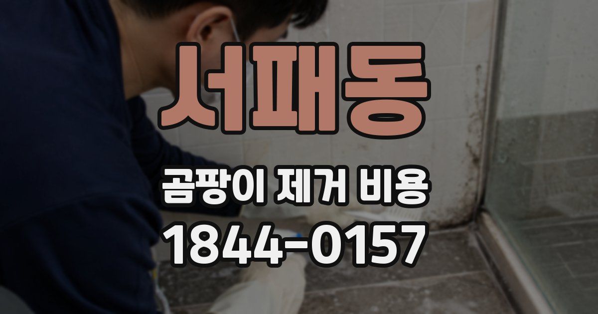 서패동 곰팡이 제거 비용