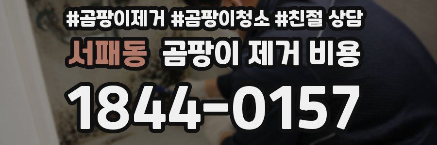 서패동 곰팡이 제거 비용