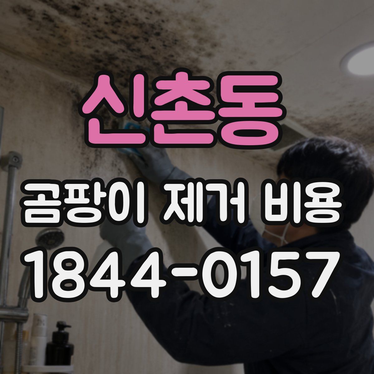 신촌동 곰팡이 제거 비용