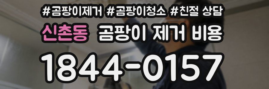 신촌동 곰팡이 제거 비용