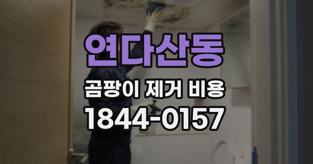 연다산동 곰팡이 제거 비용