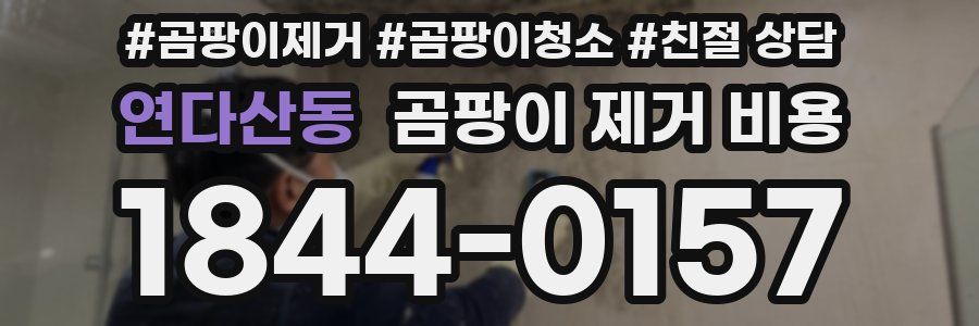 연다산동 곰팡이 제거 비용