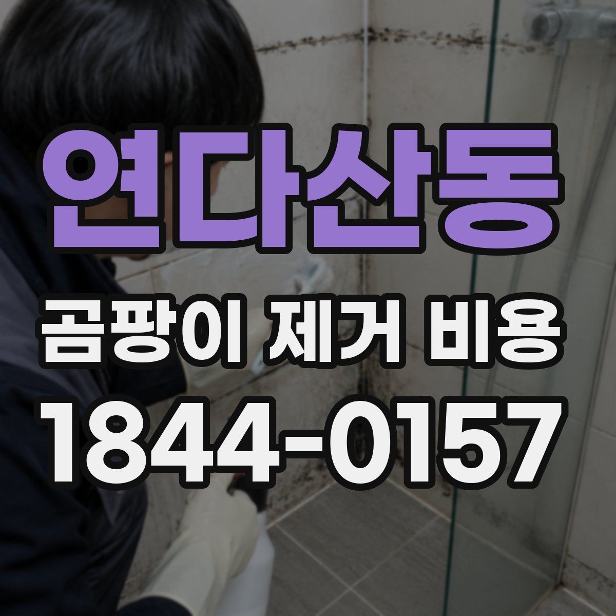 연다산동 곰팡이 제거 비용