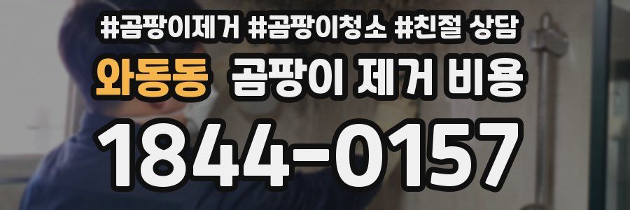 와동동 곰팡이 제거 비용