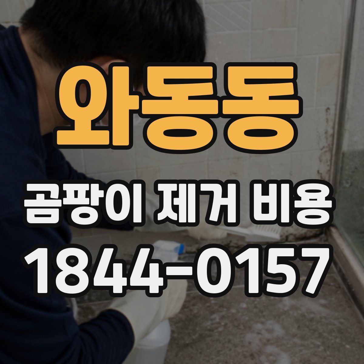 와동동 곰팡이 제거 비용