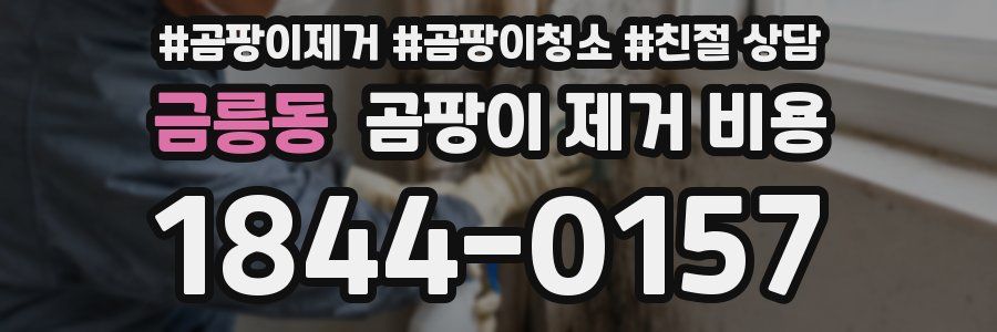 금릉동 곰팡이 제거 비용